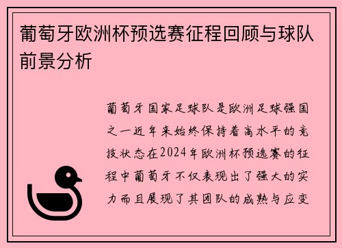 葡萄牙欧洲杯预选赛征程回顾与球队前景分析